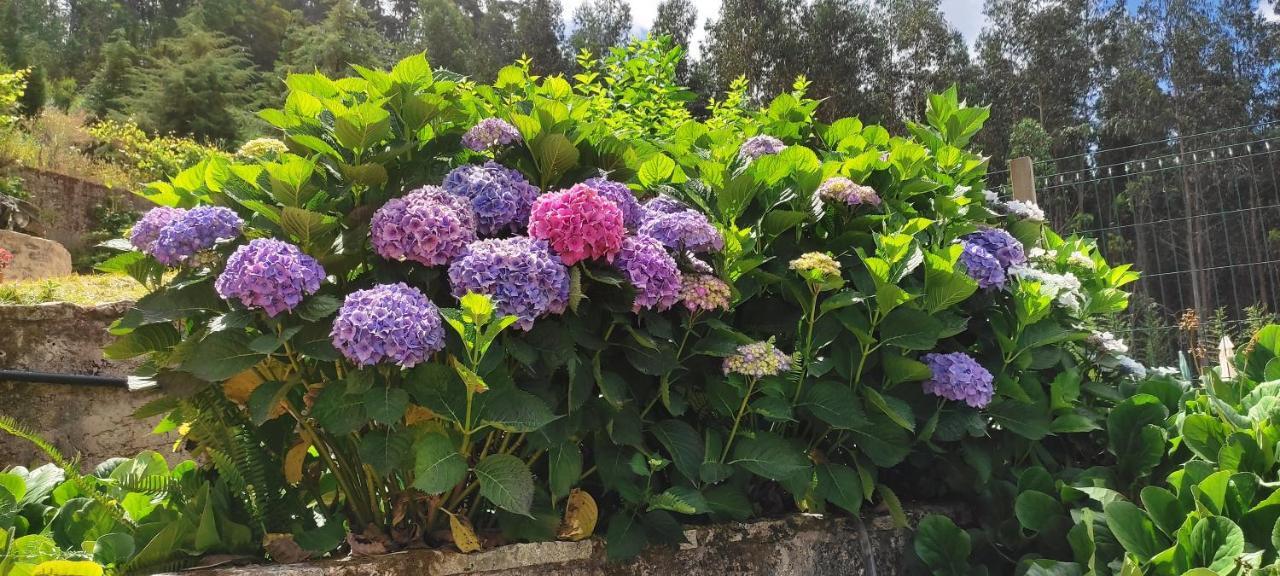 세베르도부가 Quinta Da Costeira 빌라 외부 사진