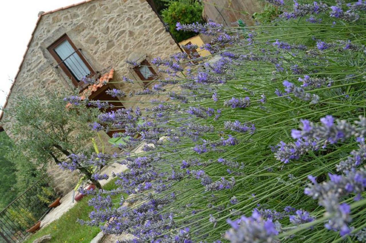 세베르도부가 Quinta Da Costeira 빌라 외부 사진