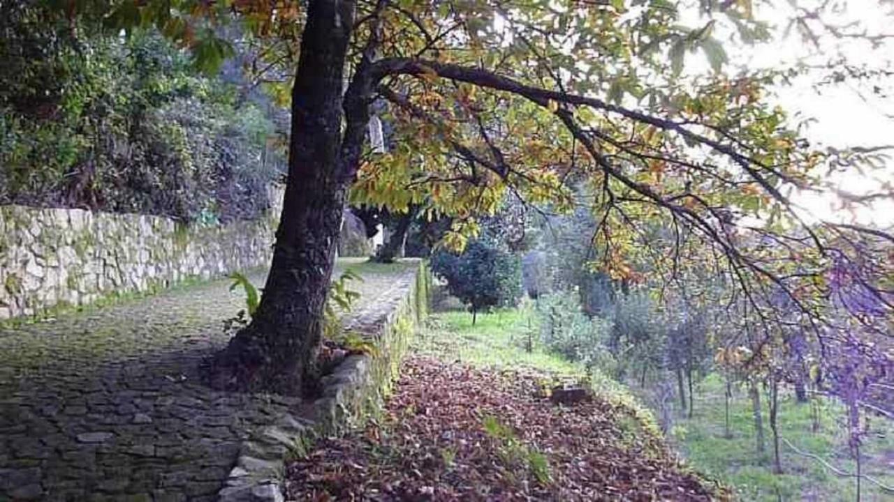 세베르도부가 Quinta Da Costeira 빌라 외부 사진